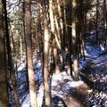 Winter on the Sheltowee Trace - 1